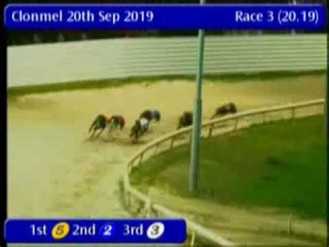 igb upcoming sweepstakes clonmel|Clonmel Greyhound Racing Results .